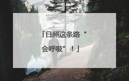 日照这条路“会呼吸”！
